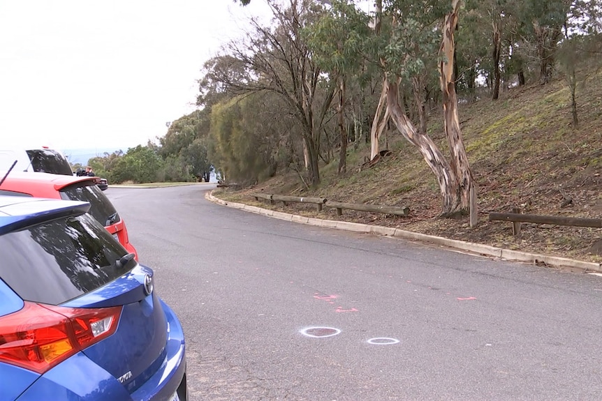 Paint markings on a road.