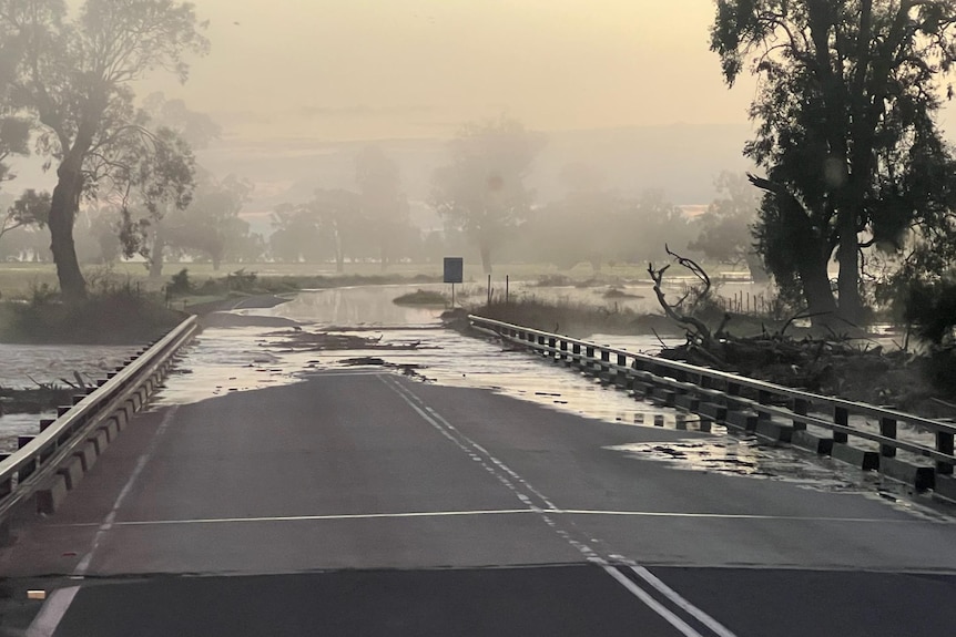 bridge inundated with pool of water