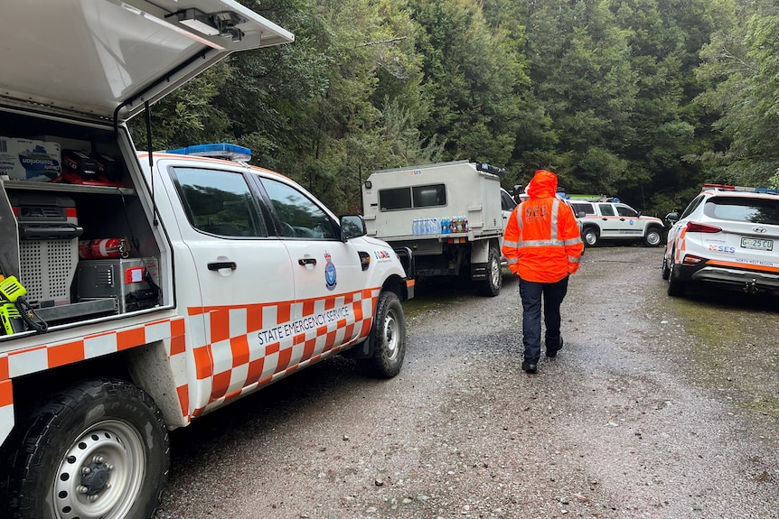 Police vehicles parked near bushland with one person walking away from the camera.