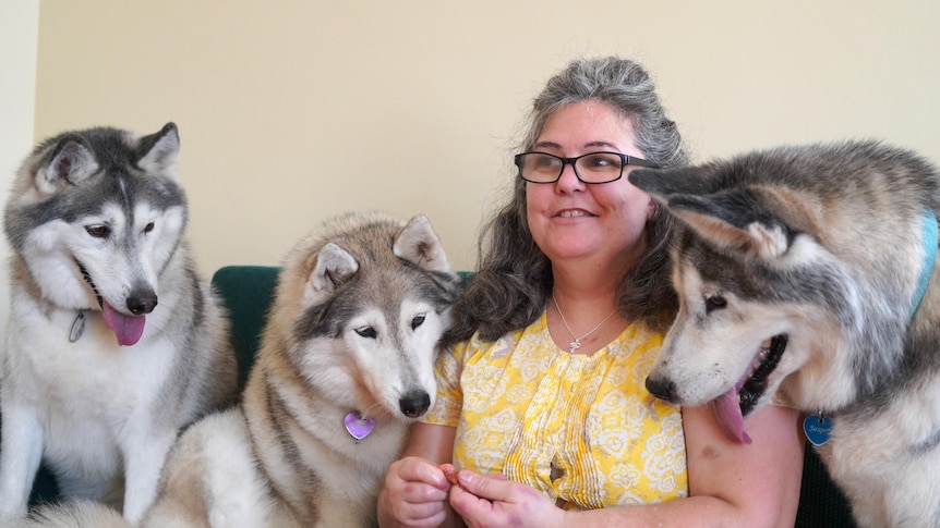 A woman with glasses and long curly grey hair sits on a couch flanked by her 3 husky dogs
