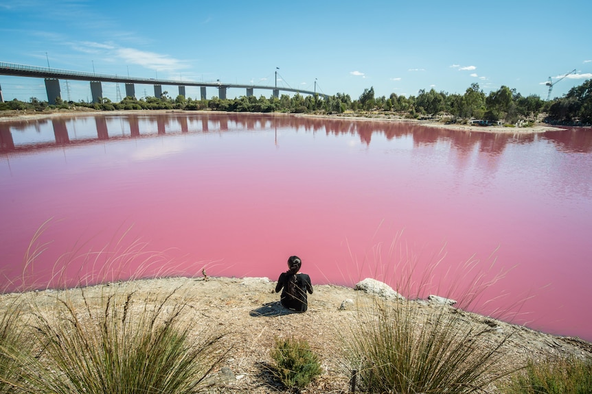 What Makes Salt Lakes Pink?