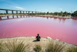 Pink lake near Melbourne CBD