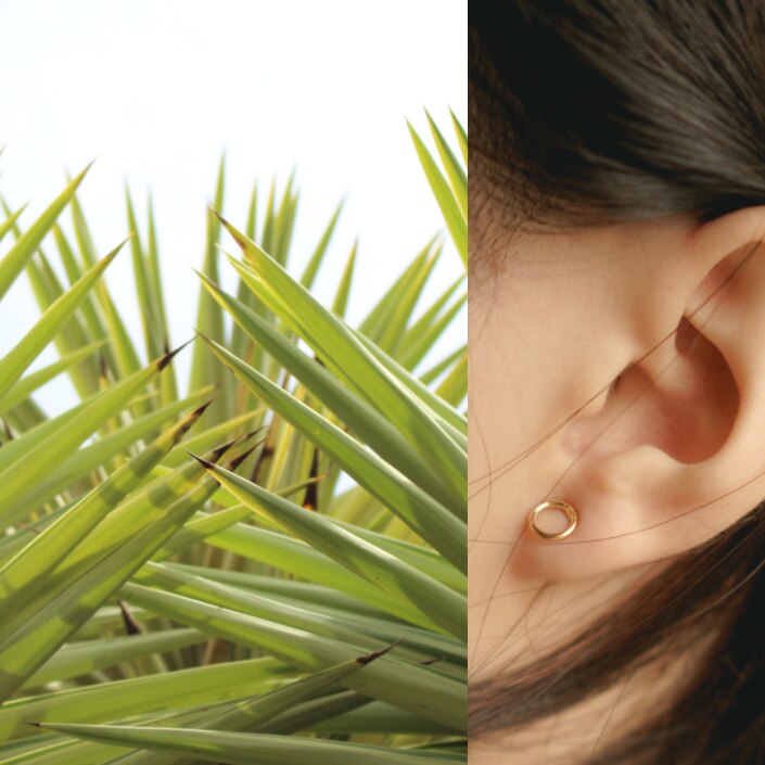 A composite of yucca plant and a human ear.