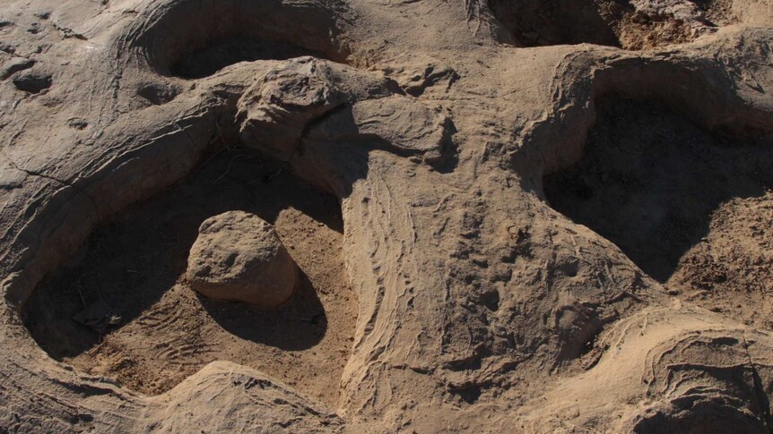 Deep shadows fall across large dinosaur footprints imprinted into rock.