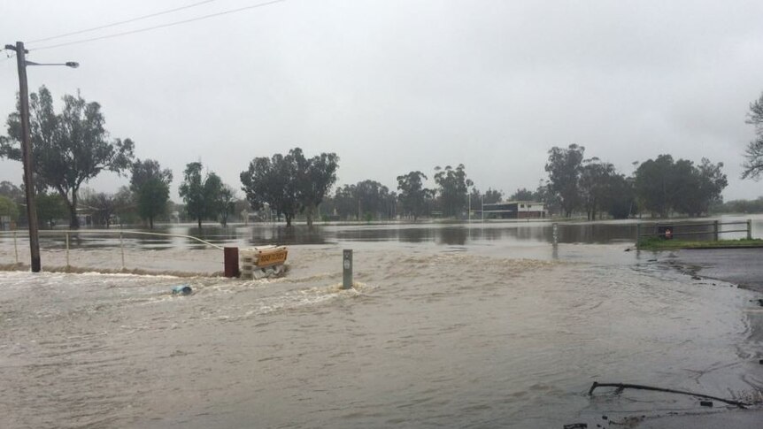 The Lachlan river flooding