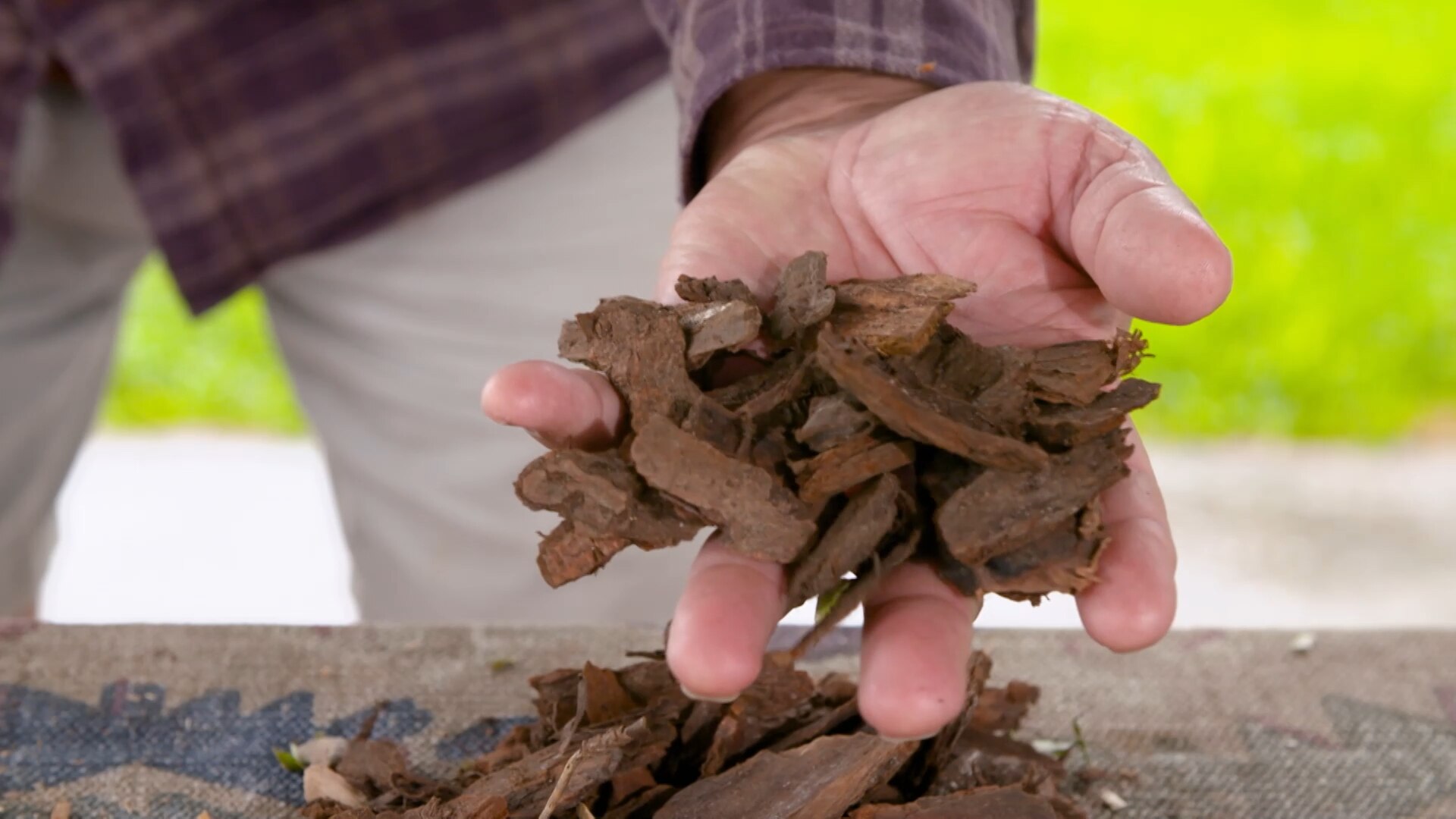 How to choose the right mulch for your garden ABC Everyday