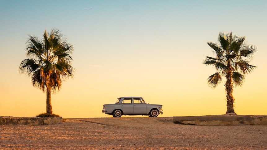 Car in profile between two palm trees, sitting on horizon, blue-yellow sunset behind