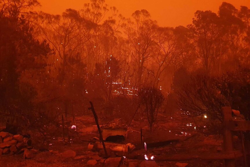 The sky is completely red because of the fire. There's a bright glow showing trees on fire