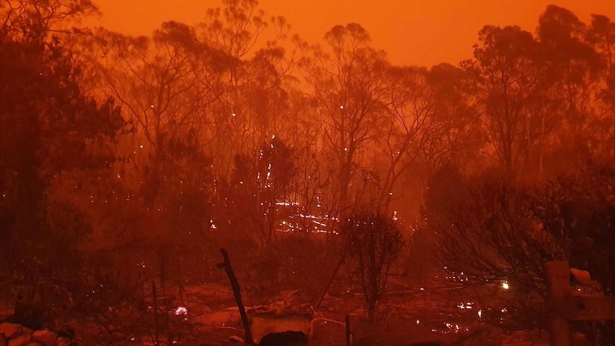 The sky is completely red because of the fire. There's a bright glow showing trees on fire