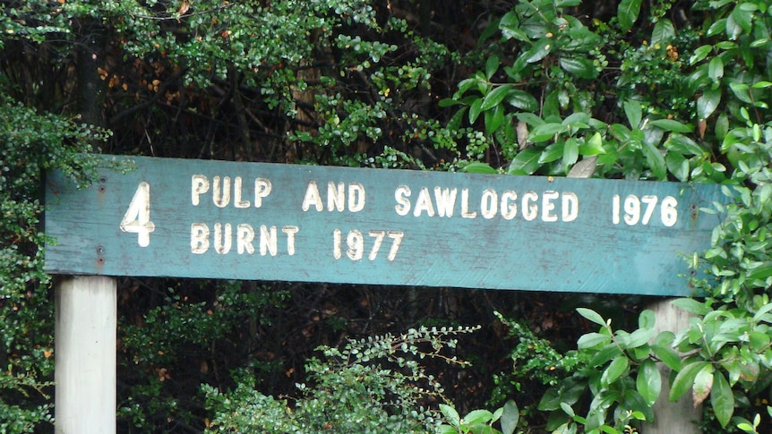 Forestry signage in the Tarkine