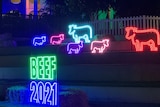 Colourful neon lights depicting cattle and with a Beef 2021 sign