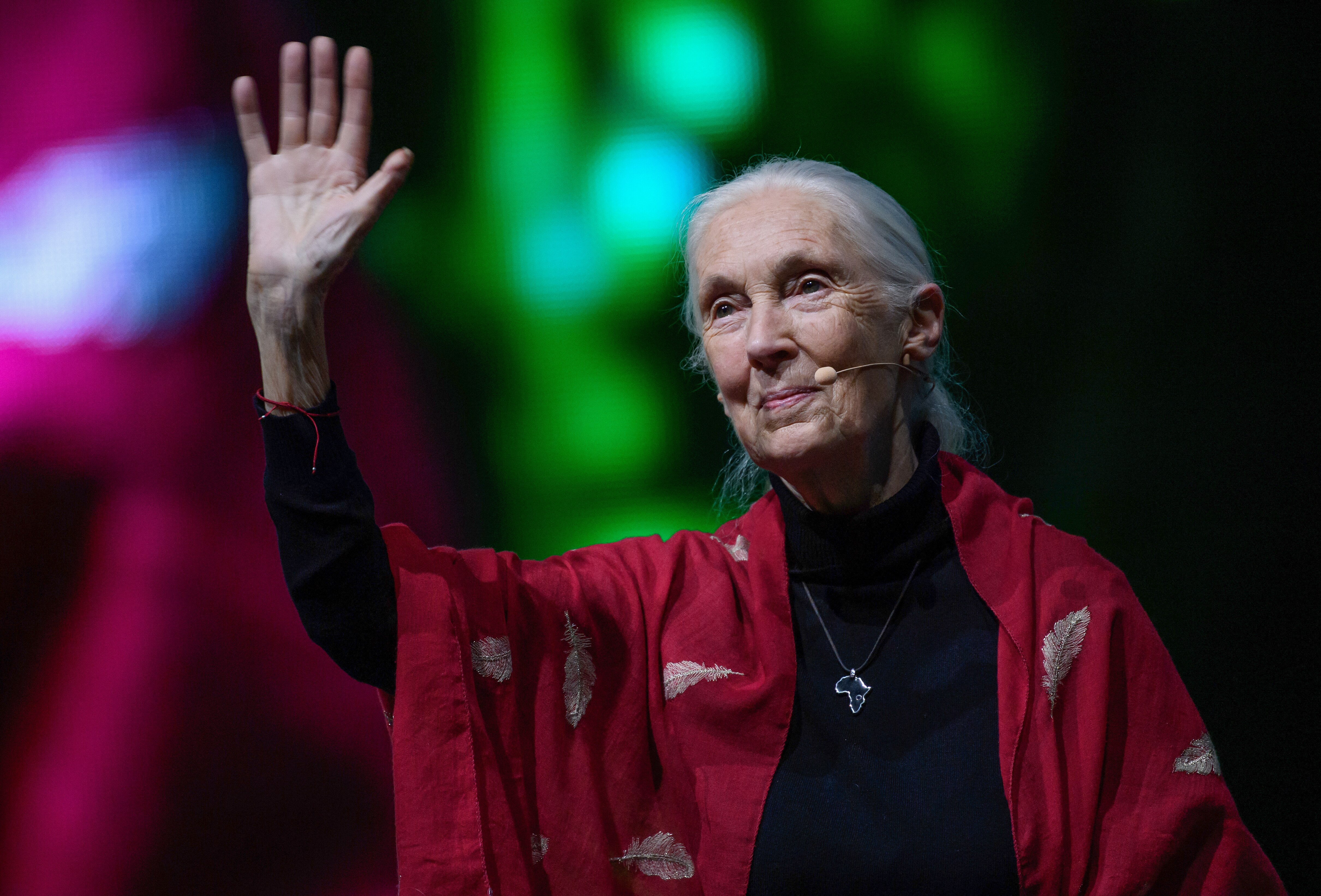 An elderly woman wearing a microphone holds her arm up and waves