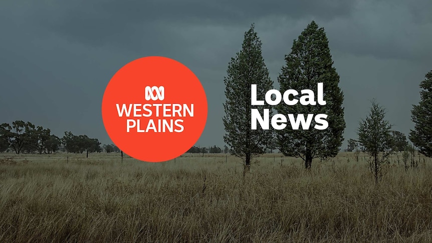 Grassy landscape with some isolated trees; ABC Western Plains logo and Local News superimposed over the top.