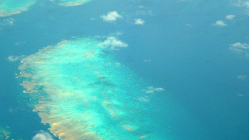 Great Barrier Reef aerial shot