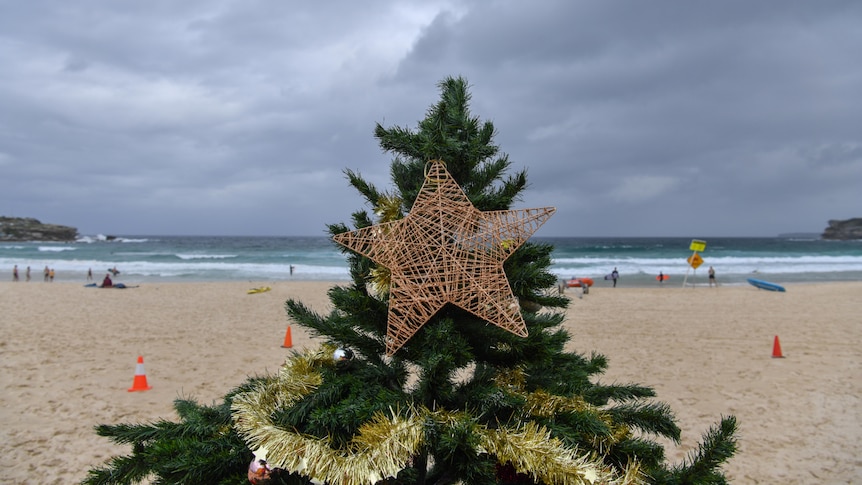 A Christmas tree is seen on a windy and rainy Bondi Beach in Sydney