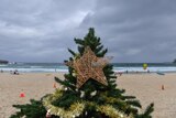 A Christmas tree is seen on a windy and rainy Bondi Beach in Sydney