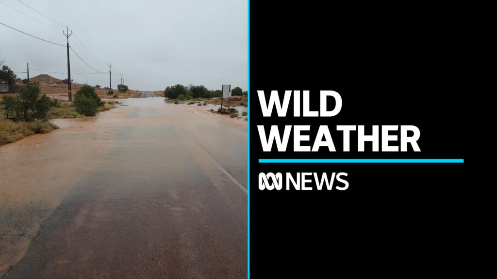 SA hit with over a month's worth of rain over weekend - ABC News