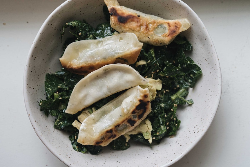 Four fried dumplings sit on top of a bowl of greens, basic cooking in the time of coronavirus.