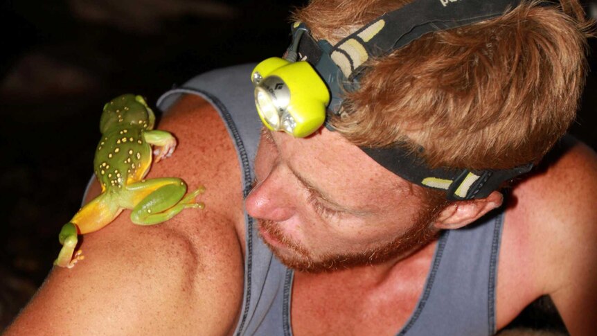 Simon Clulow with a Magnificent Tree Frog