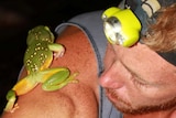 Simon Clulow with a Magnificent Tree Frog