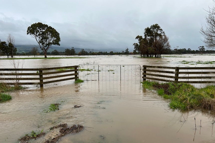 water half way up a gate to a paddock on a west gippsland farm
