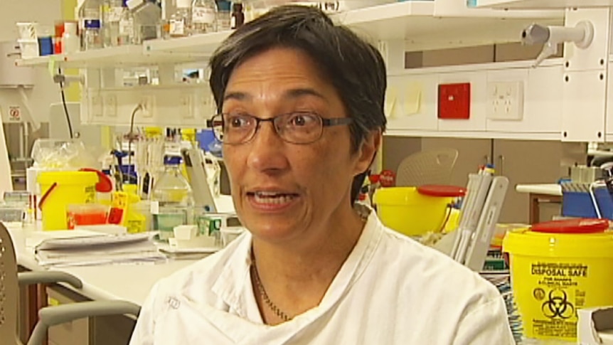 Lead researcher Professor Ranjeny Thomas said clinical vaccine trial would begin next year