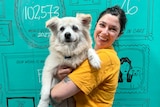 A woman in a yellow t-shirt holds a white dog in her arms, in front of a teal board with numbers on it. 