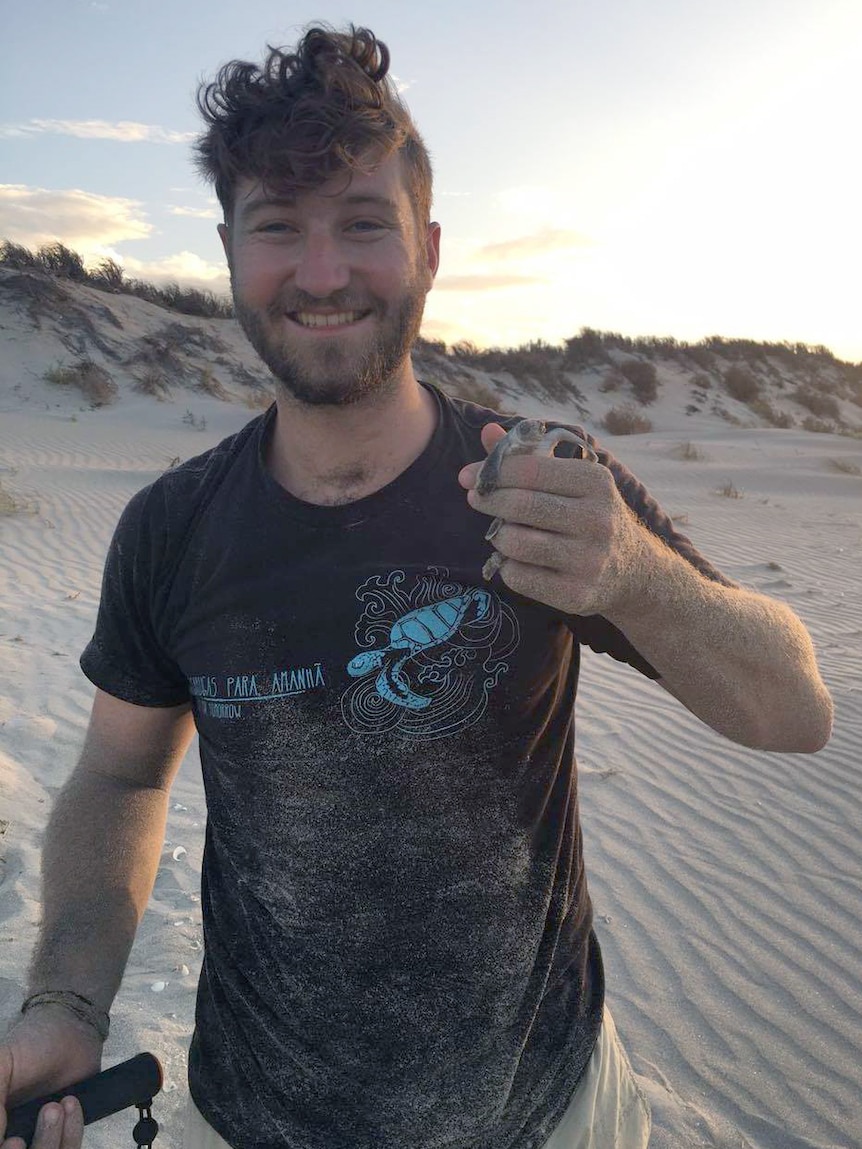 Blair Bentley holding a baby turtle on a beach on the Kimberley coast.