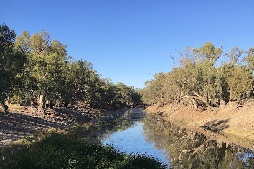 Darling River