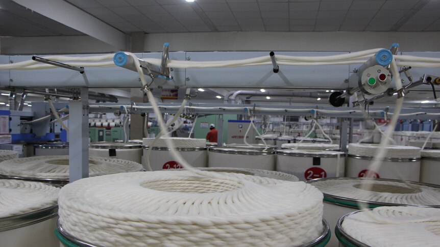 A machine spinning cotton