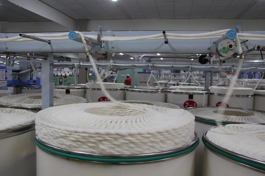 A machine spinning cotton