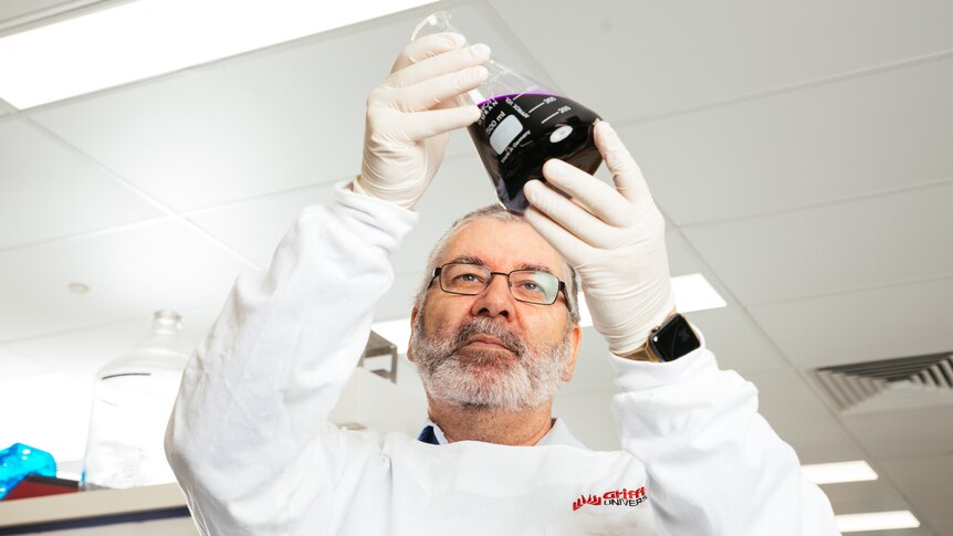 Griffith University Professor Nigel McMillan works in a lab.