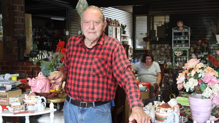 A man and a woman with their teapot collection