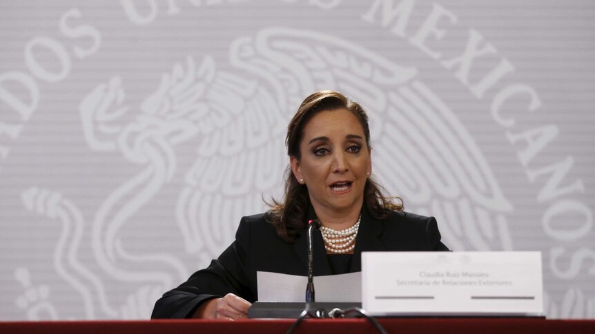 Claudia Ruiz Massieu speaks during a news conference