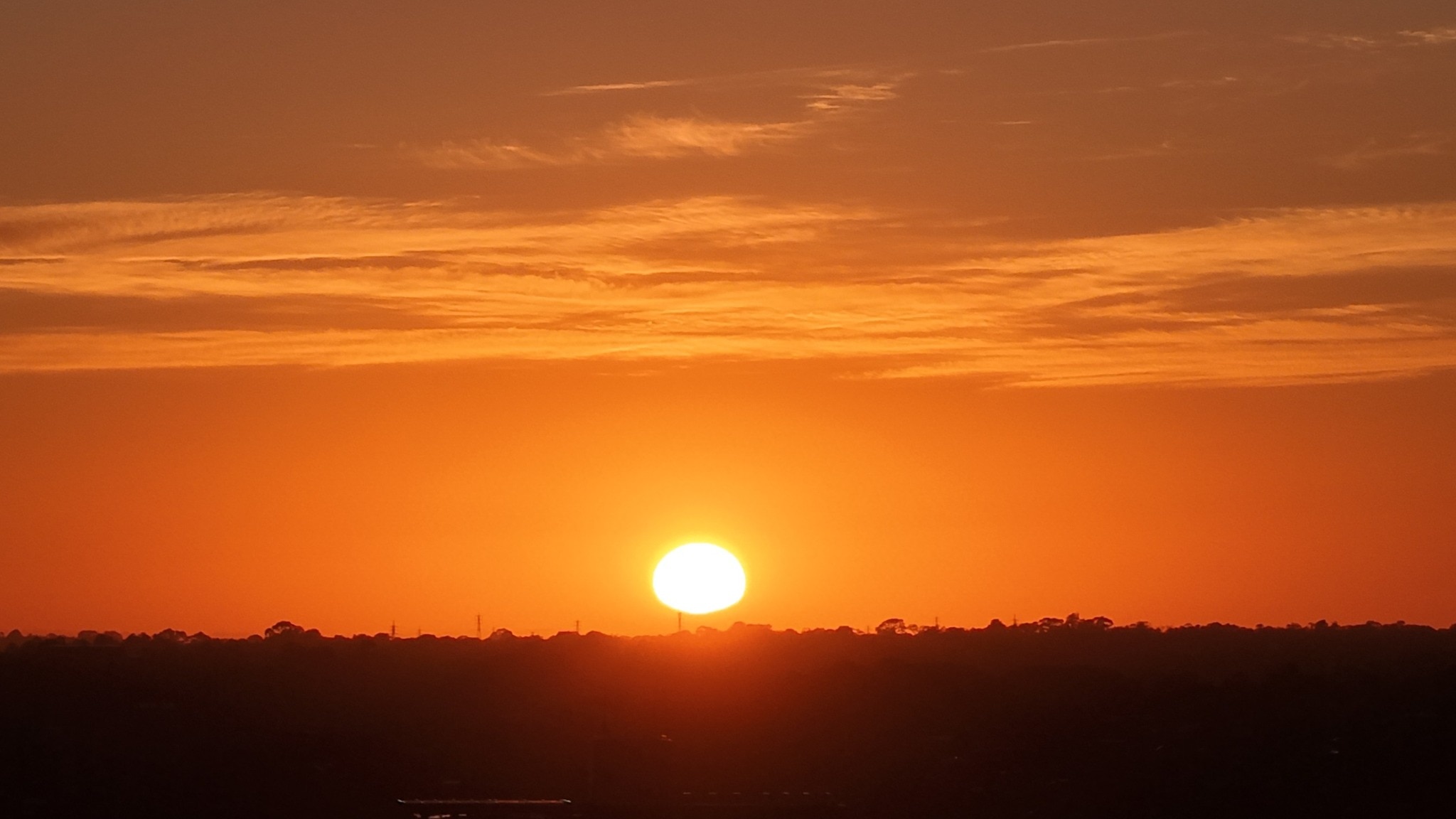 The sun looks like a glowing yellow-white ball in an orange sky above trees that are silhouetted brown-black.