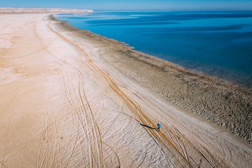 Alongside the Aral Sea