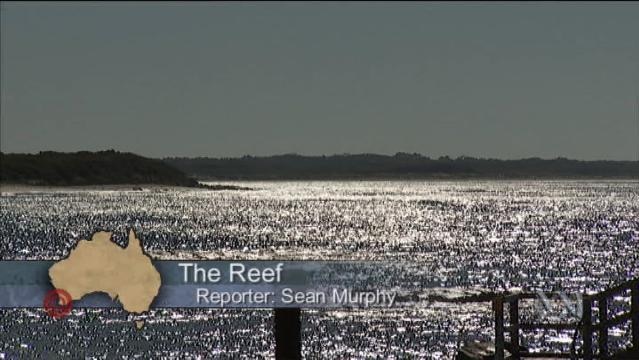Sun twinkles on the sea, text overlay reads: "The Reef, Reporter: Sean Murphy"