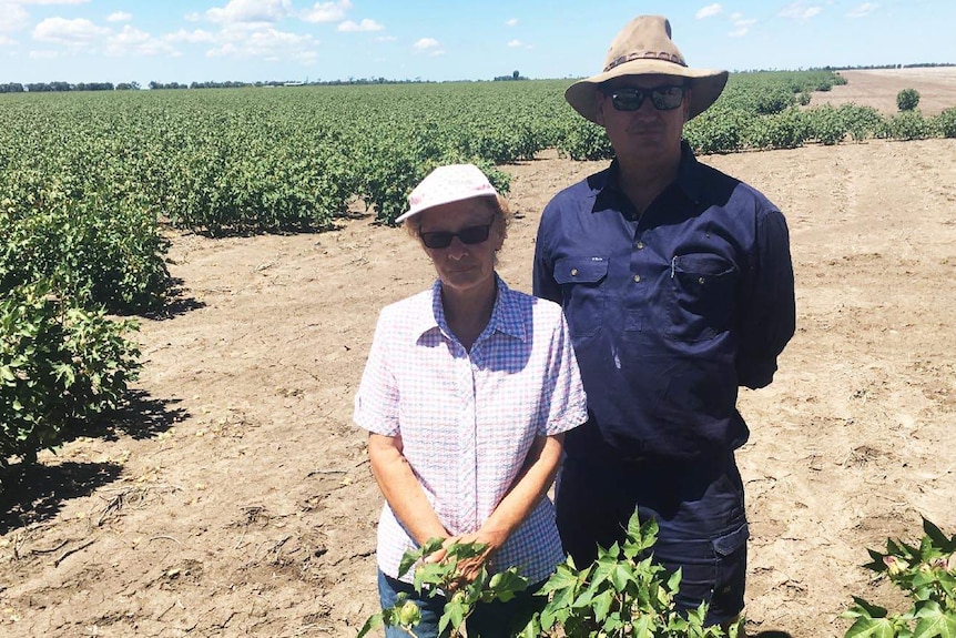 Pam and Brian Bender on their Hopeland property