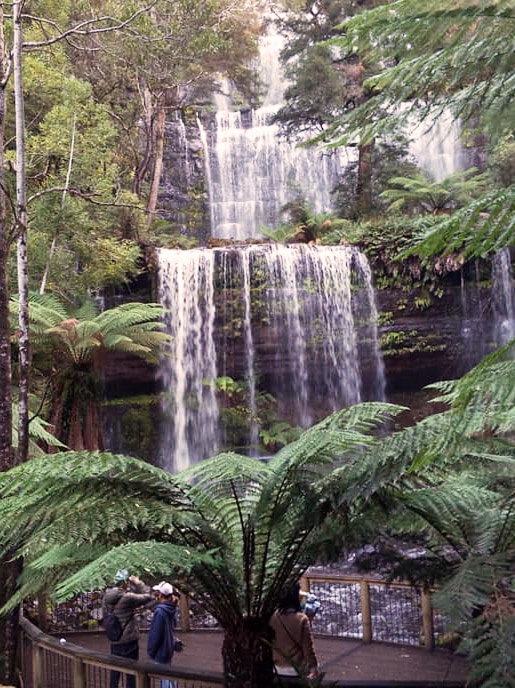 Russell Falls in Mount Field National Park