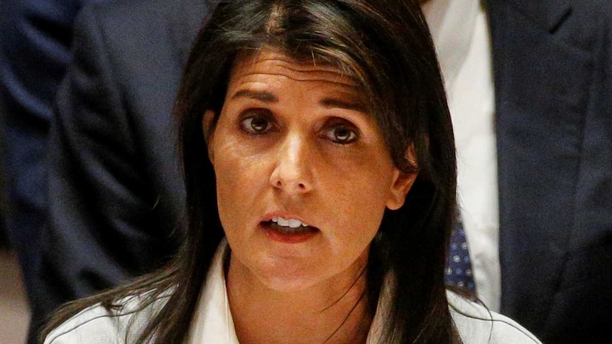 Nikki Haley speaks from a seated position at the United Nations