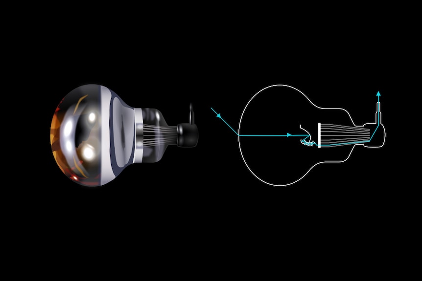 An illustration of light from a neutrino collision moving through a detector.