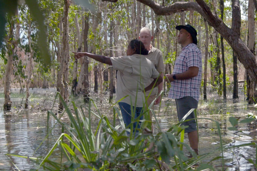 A woman in khaki stands with two men in shallow creek water, pointing to something in the distance.