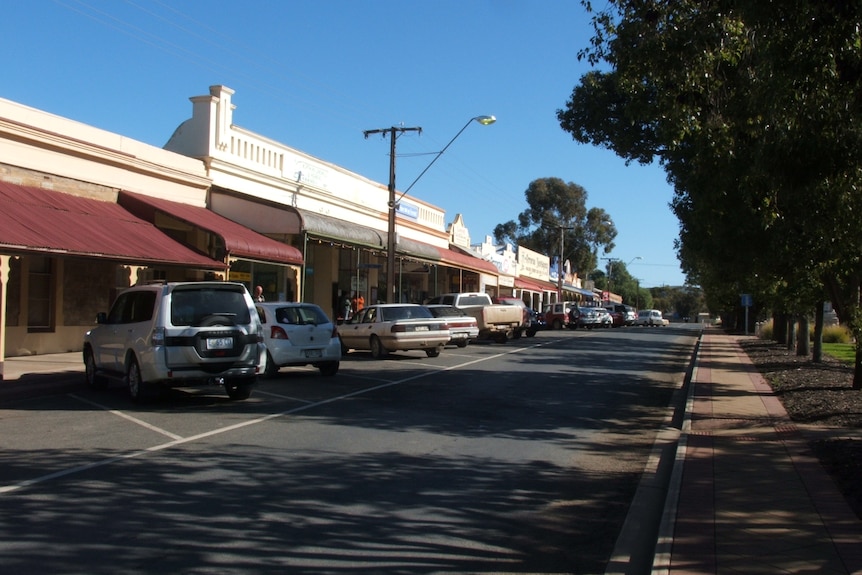 A main street of a small town, lined with trees down the middle.