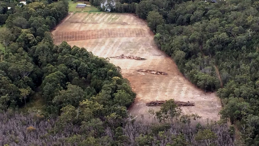 Mixed responses to vegetation clearing legislation