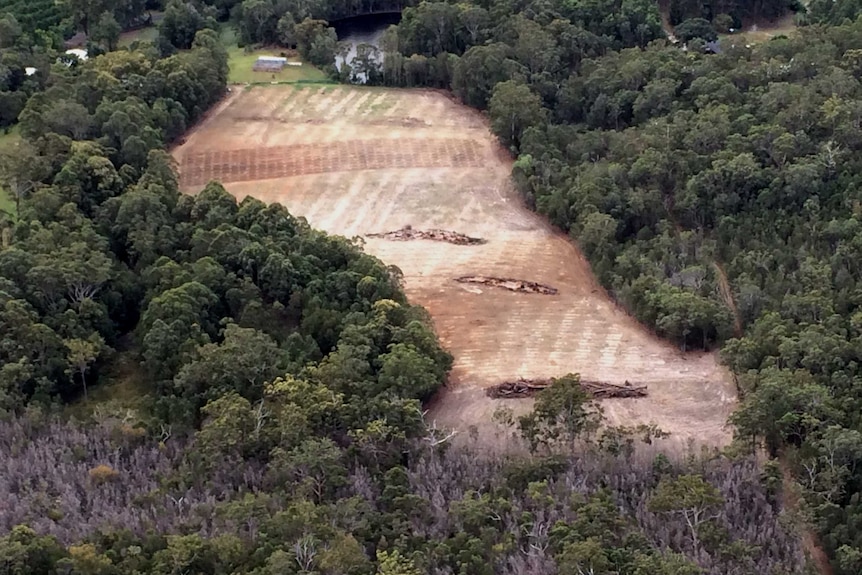 Aerial view of cleared land