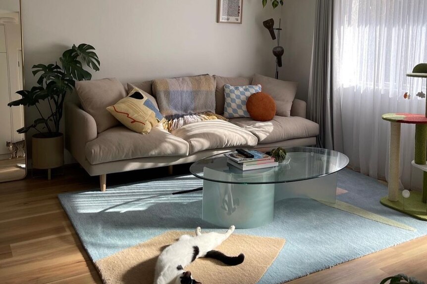 A small living room, with a beige couch, oval glass coffee table and cat stretched out on a floor rug. 