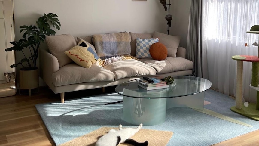 A small living room, with a beige couch, oval glass coffee table and cat stretched out on a floor rug. 