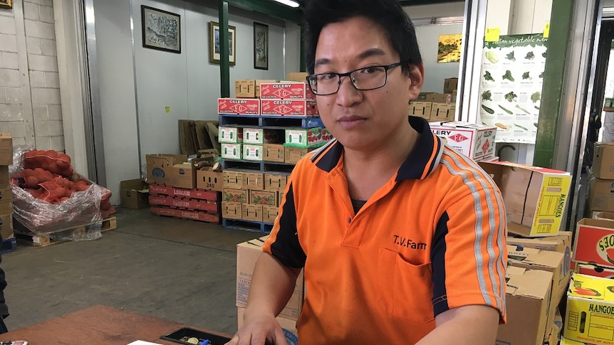 Vinh Nguyen is standing at the desk in his father's business at the Sydney Markets with fruits and vegetables in the background