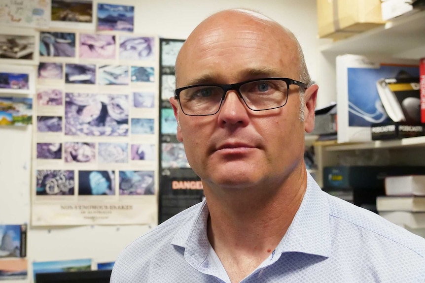 Dr Greene stands in a room with posters about deadly snakes behind him