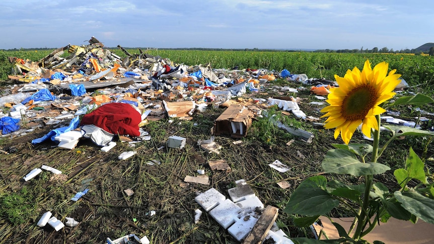 Wreckage of Malaysia Airlines flight MH17 in a sunflower field near Rassipnoe, eastern Ukraine